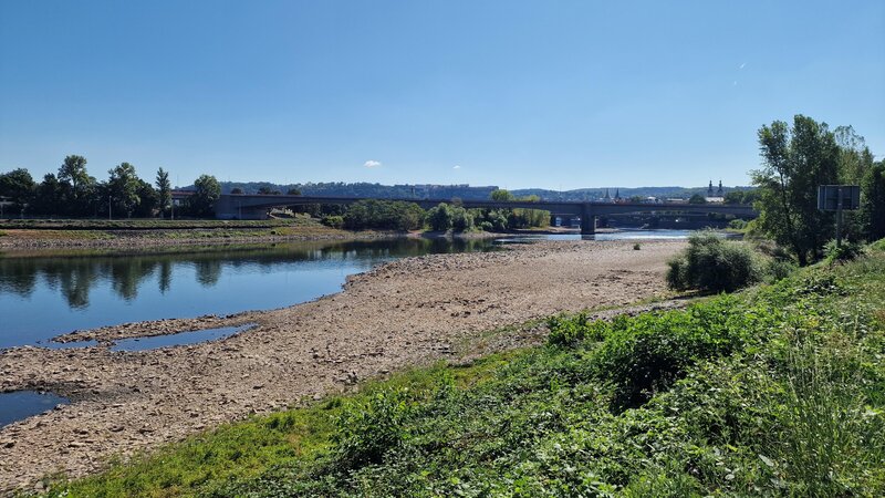Auch die Mosel bei Koblenz führt derzeit extrem wenig Wasser.