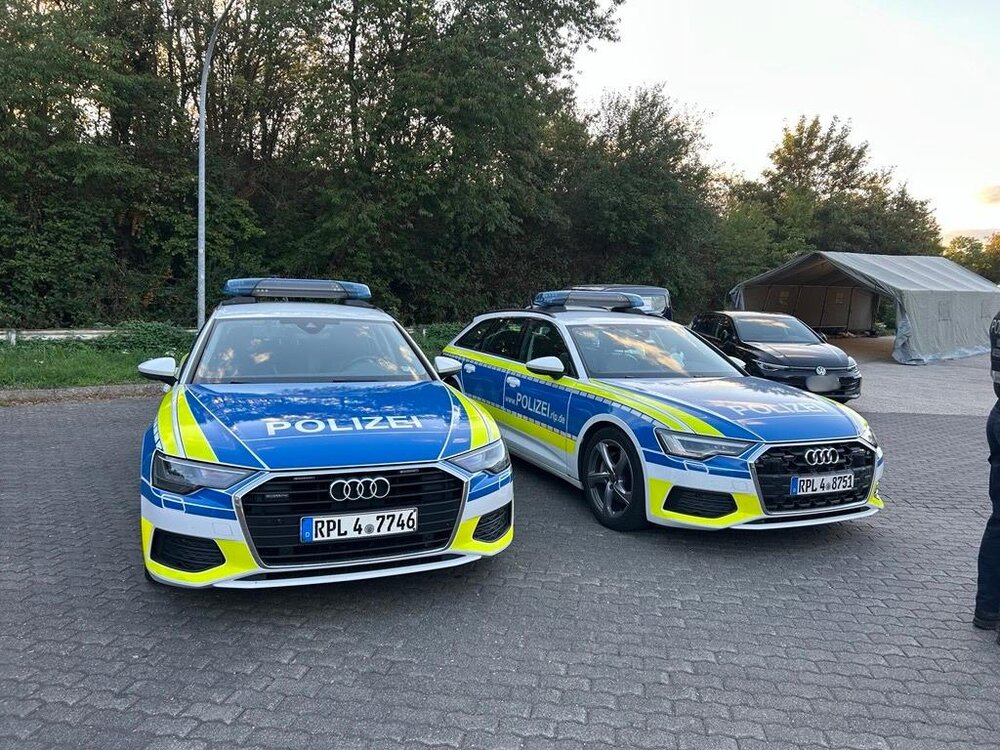 Polizeiautos (Symbolbild).