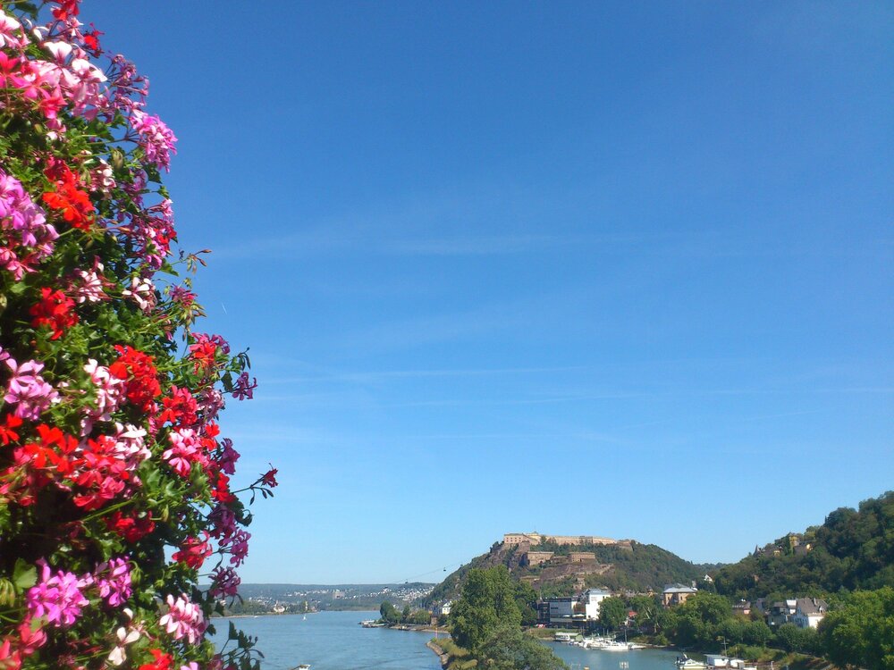 Blumen in Koblenz (Symbolbild)