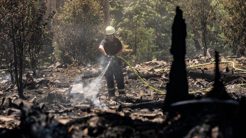 Auch in Rheinland-Pfalz und dem Saarland steigt die Waldbrandgefahr.