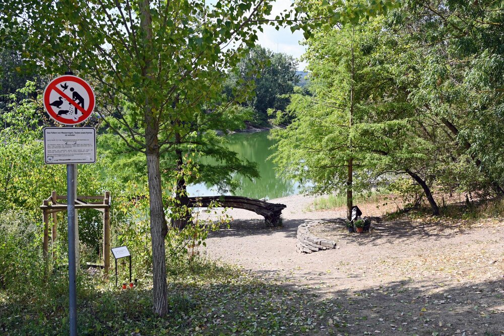 Der Schwanenteich zwischen Oberwerth und der Südlichen Vorstadt.