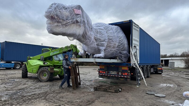 Ein Dinosaurier wird für die Ausstellung aufgebaut.