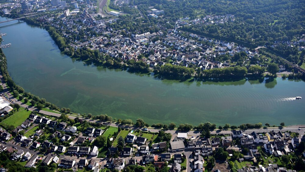 Projekt "Maiblick Living": Im Koblenzer Stadtteil Moselweiß sollen 21 Luxuswohnungen entstehen. Projekt "Maiblick Living": Im Koblenzer Stadtteil Moselweiß sollen 21 Luxuswohnungen entstehen.