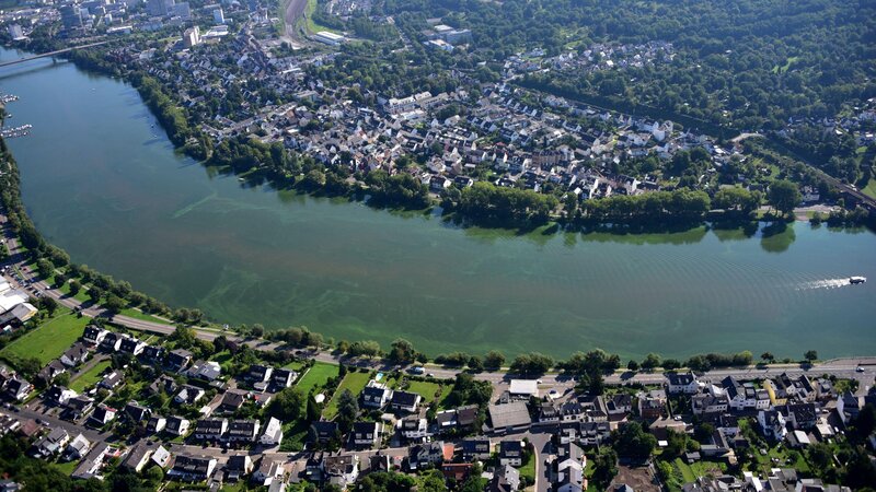 Projekt "Maiblick Living": Im Koblenzer Stadtteil Moselweiß sollen 21 Luxuswohnungen entstehen.