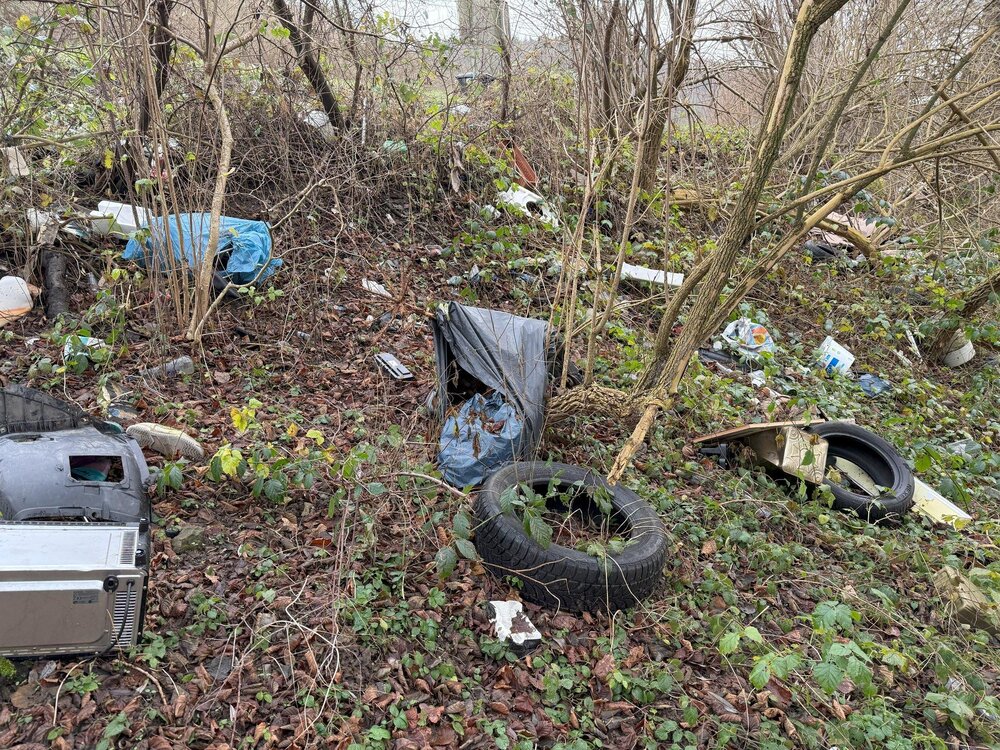 Illegale Müllentsorgung, Sinzig Illegale Müllentsorgung, Sinzig