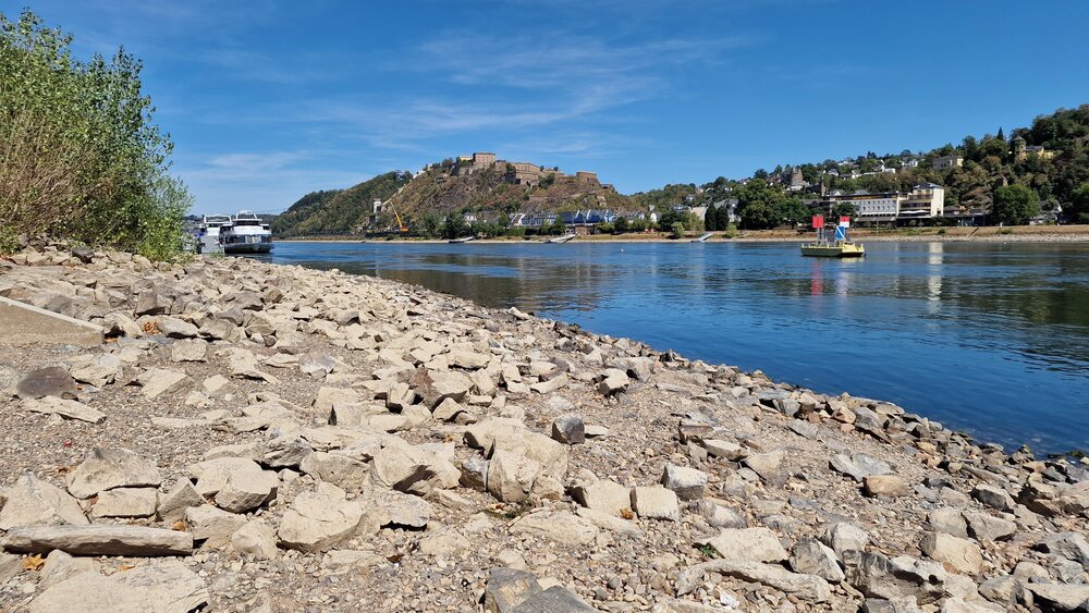 Niedrigwasser im Rhein in Koblenz (12.08.2026).