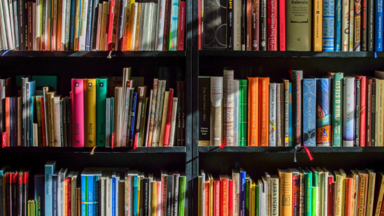 Kinderbücher für den guten Zweck: Bücherbasar im Caritas-Kleiderladen