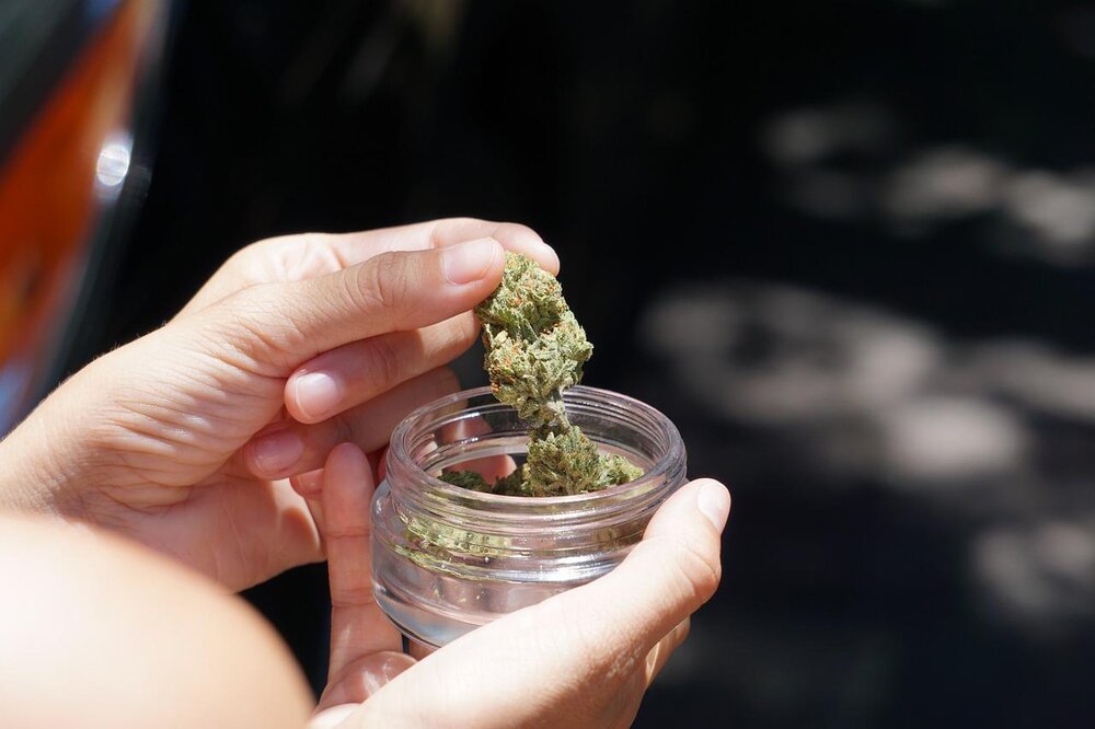 Cannabis (Symbolbild)