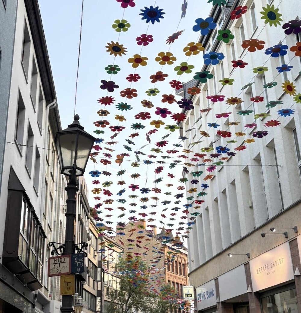 Blumengirlande ,,Ciel de Fleurs" am Entenpfuhl Blumengirlande ,,Ciel de Fleurs" am Entenpfuhl