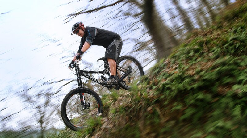 Zum Schutz der Tiere und Natur dürfen Mountainbiker Straßen und offizielle Waldwege nicht verlassen.