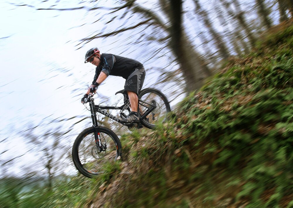 Zum Schutz der Tiere und Natur dürfen Mountainbiker Straßen und offizielle Waldwege nicht verlassen.