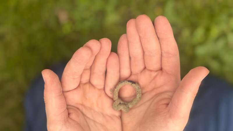 Gürtelschnalle Lonnig aus Eisenzeit