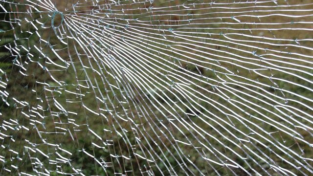 Gesprungenes Glas, Symbolbild Einbruch in Koblenz: Täter durchwühlen Wohnung