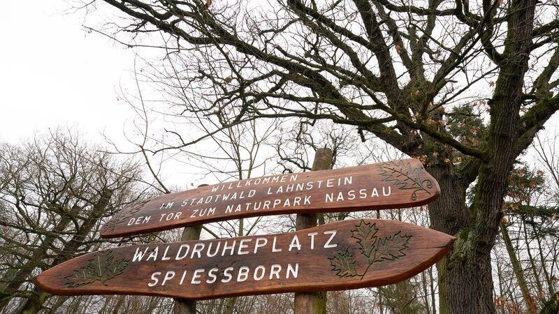Nachdem der Kinderheilwald bereits vor zwei Jahren an den Start gegangen ist, konnte nun auch der Kur- und Heilwald für Erwachsene fertiggestellt werden. (Archivbild)