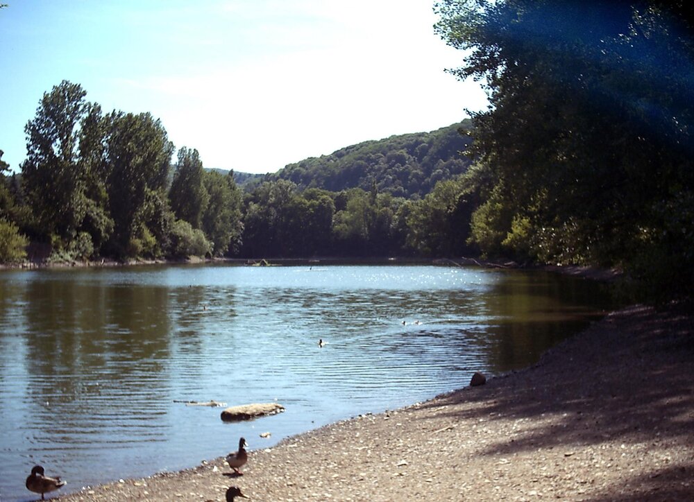 Blick auf den Schwanenteich in Koblenz.