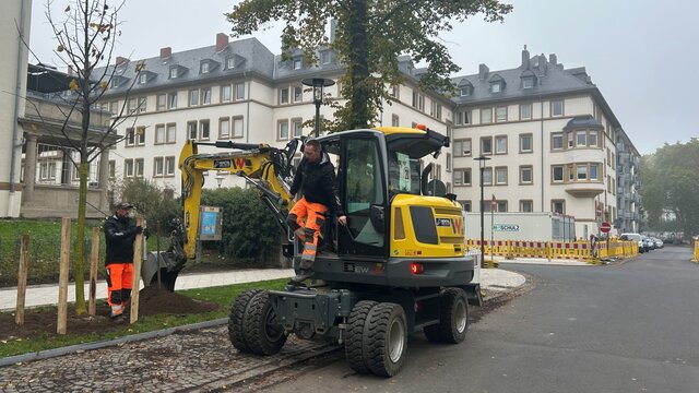 Baumpflanzungen in der Südallee Südallee in Koblenz: Das ist der aktuelle Stand der Bauarbeiten