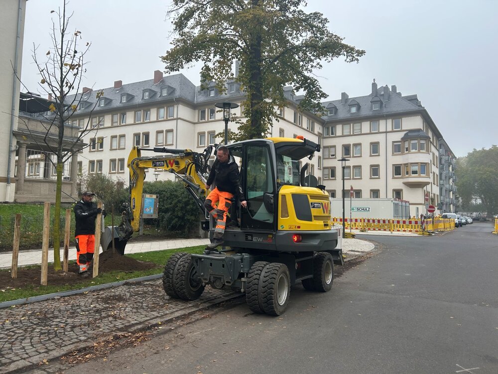Baumpflanzungen in der Südallee Mit einem Bagger wird ein Baum in der Südallee gepfalnzt.