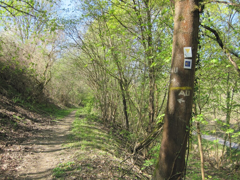 Ausoniusweg