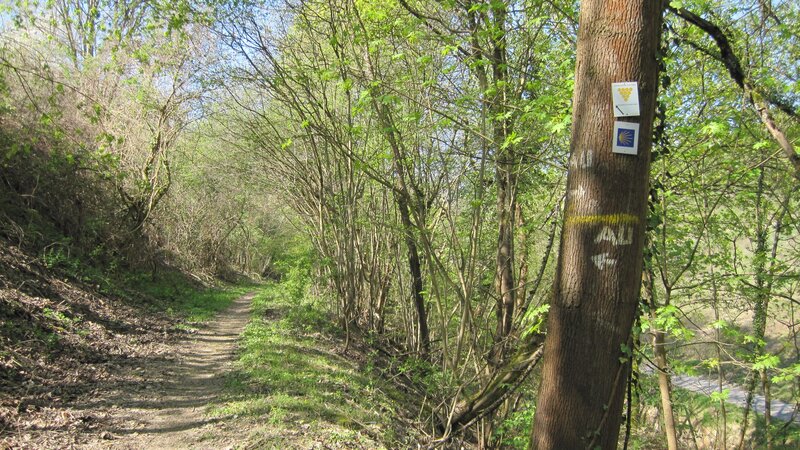 Ausoniusweg
