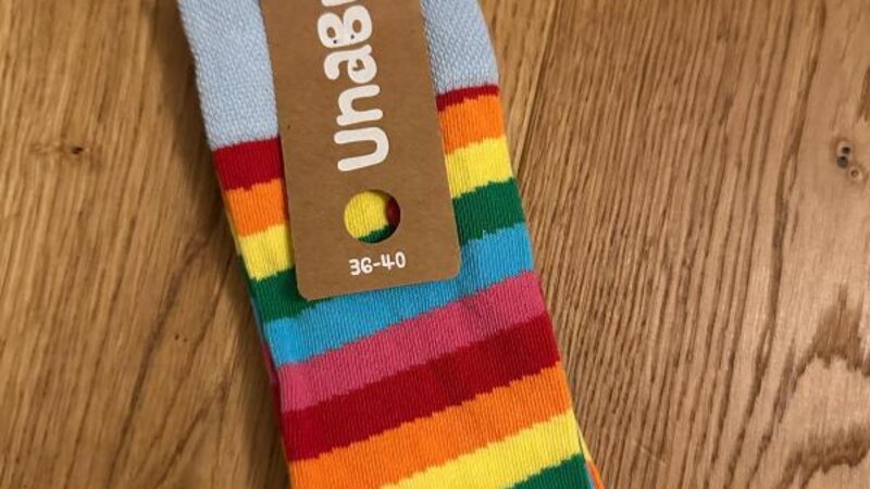 Die Koblenzer Grünen versteigern gemeinsam mit Oberbürgermeister David Langner ein ungetragenes Paar der Regenbogensocken.