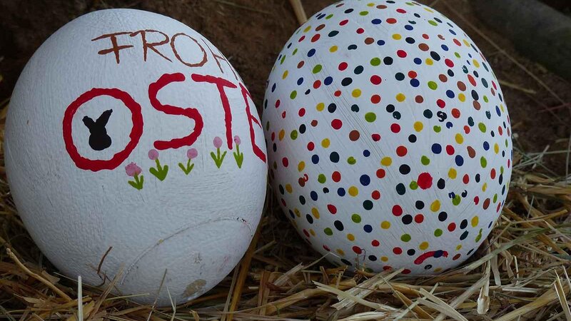 In den Osterferien gibt es traditionell wieder die alljährliche Osterei-Suche im Zoo Neuwied.