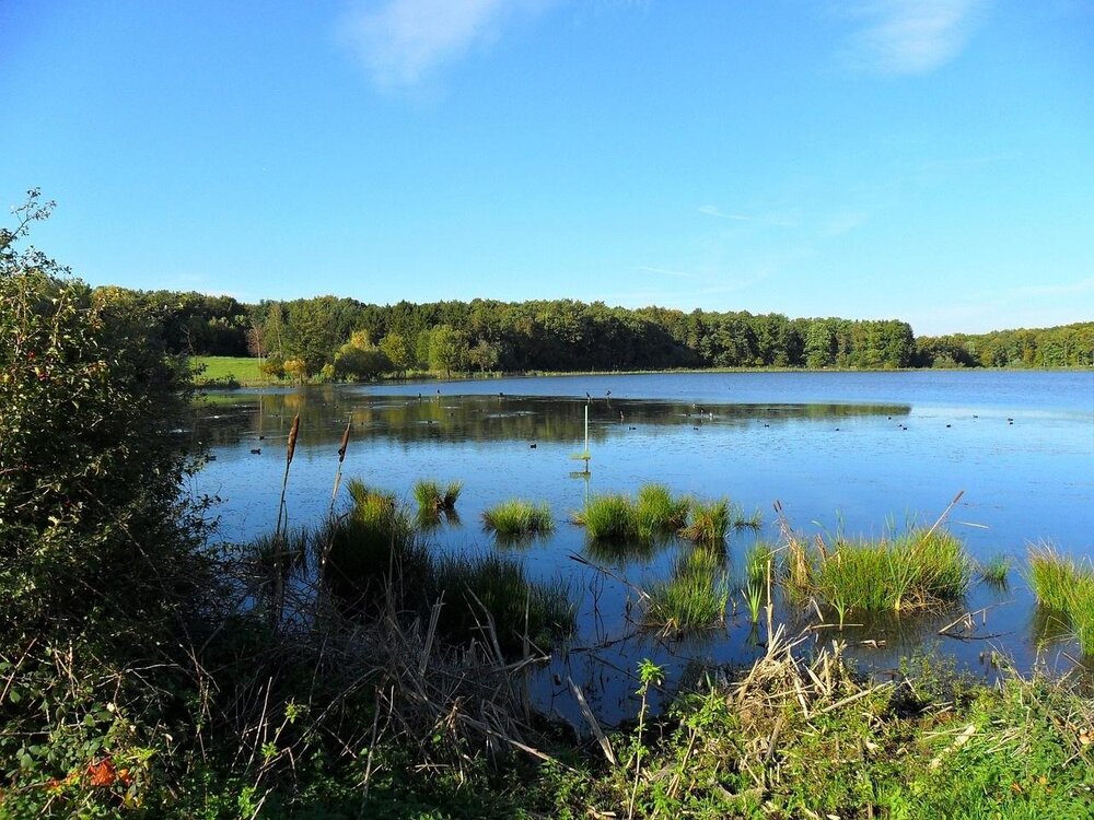 Rodder Maar/Pixabay Rodder Maar/Pixabay
