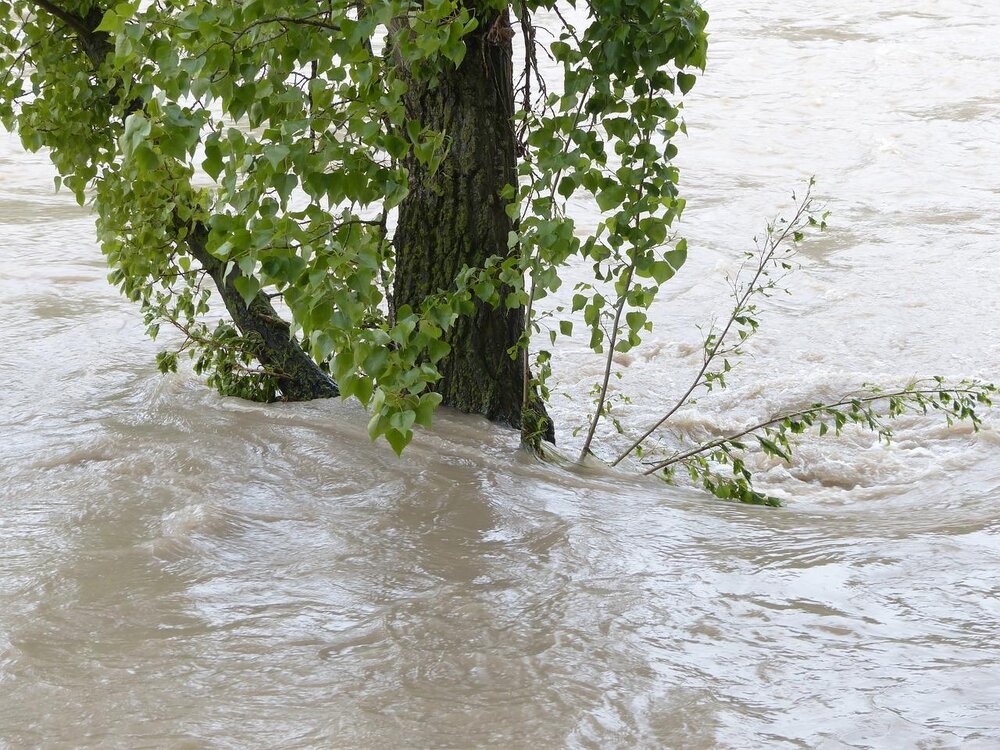 Hochwasser, Symbolfoto Hochwasser, Symbolfoto