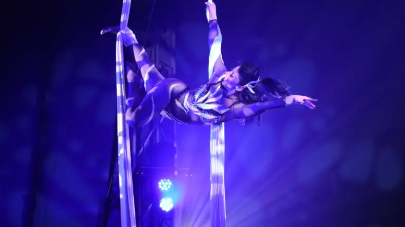 Emi Velkova aus Bulgarien begeistert mit ihrer meisterhaften Luftakrobatik am Aerial Silk.