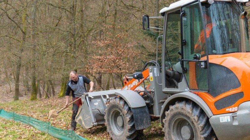 Auch im Gebiet des Bad Salziger Kurparks sind vermehrt Amphibien auf Wanderschaft. Am Dienstag, 25. Februar 2025, wurden auch hier wieder die Schutzzäune von Mitarbeitern des städtischen Bauh