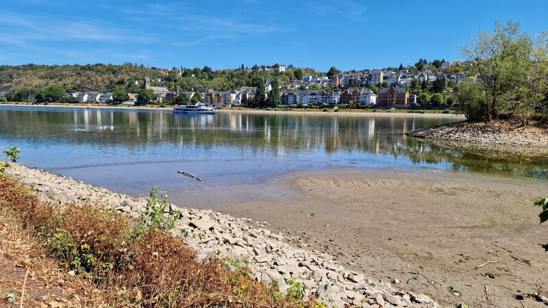 Niedrigwasser im Rhein in Koblenz (12.08.2026).