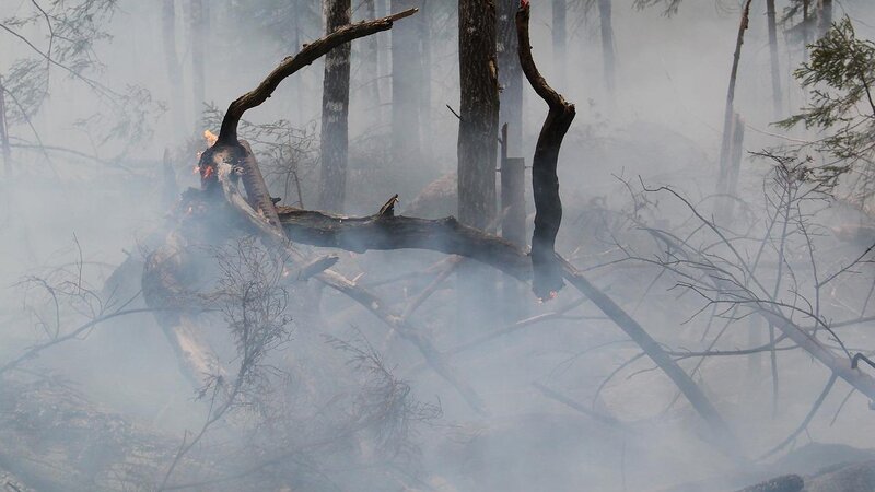 Waldbrand (Symbolbild)