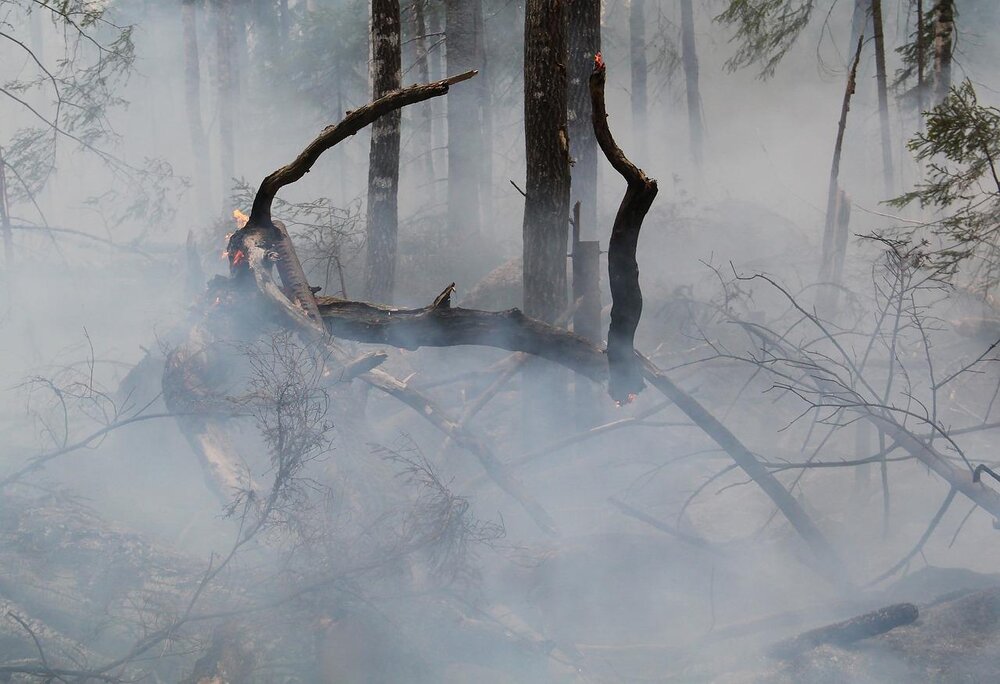 Waldbrand (Symbolbild)
