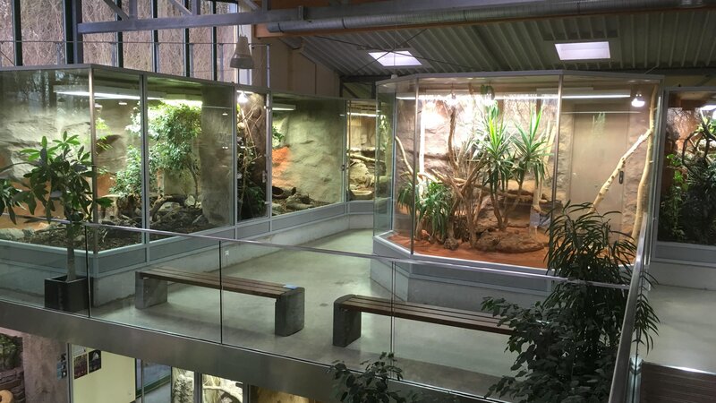 Das Exotarium im Zoo Neuwied.