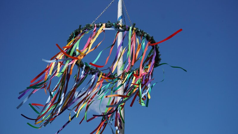 Ein Maibaum, wie er traditionell am 1. Mai aufgestellt wird.