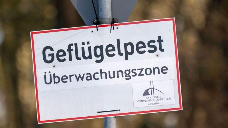 Die Vogelgrippe ist auch in Rheinland-Pfalz angekommen (Symbolbild)