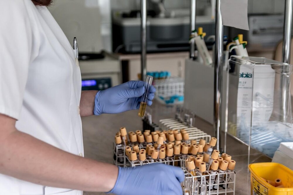 DNA-Text (Symbolbild)
