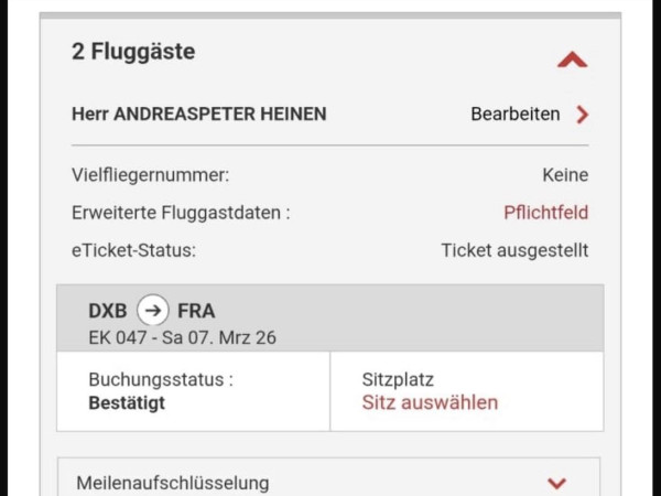 Andreas Heinens vorläufiges Flugticket für die Rückreise am Samstag, 7. März.
