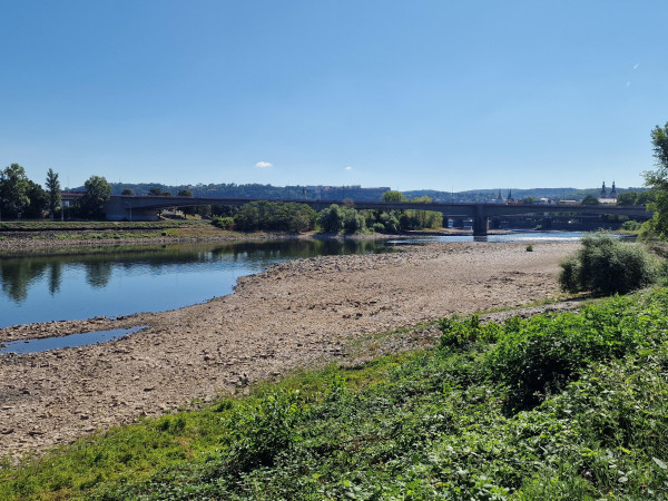 Auch die Mosel bei Koblenz führt derzeit extrem wenig Wasser.