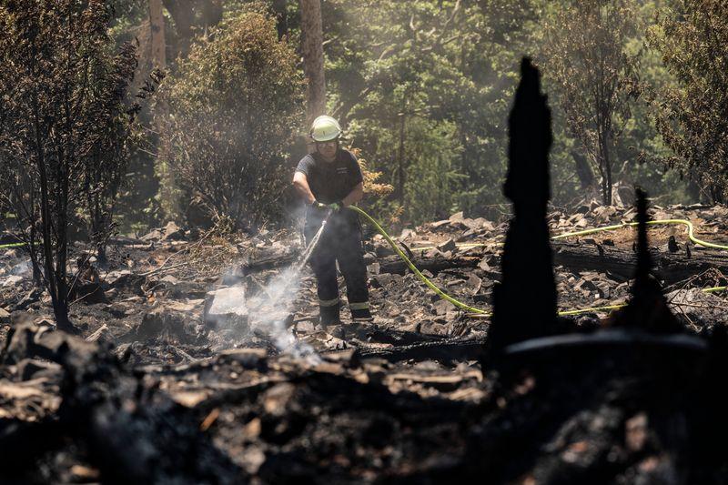 Auch in Rheinland-Pfalz und dem Saarland steigt die Waldbrandgefahr.