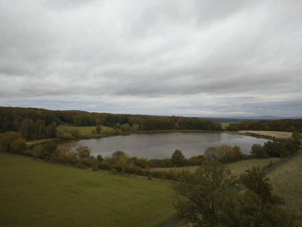 Auf einer Wiese in der Nähe des Sees wurden die Leichen gefunden. (Archivbild)