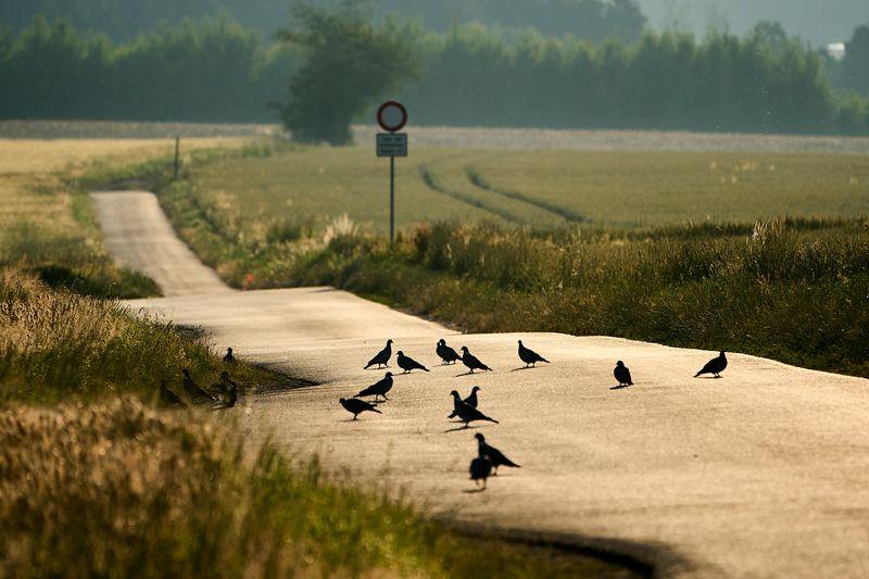 Bis zu 38 Grad können es am Mittwoch in Rheinland-Pfalz werden.