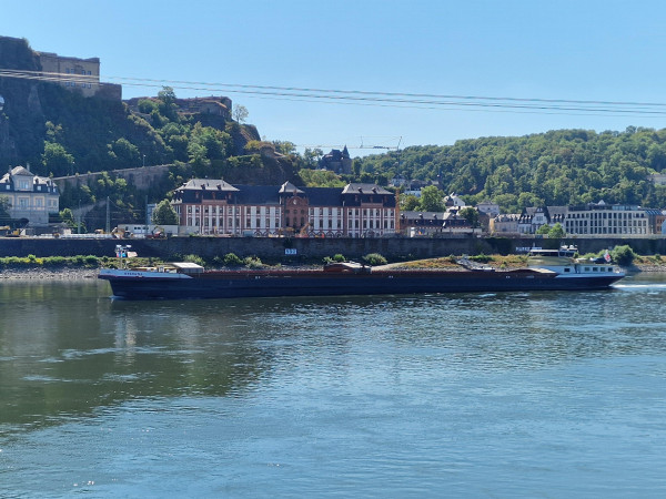 Der Rheinpegel in Koblenz ist derzeit extrem niedrig, was die Schifffahrt erschwert.