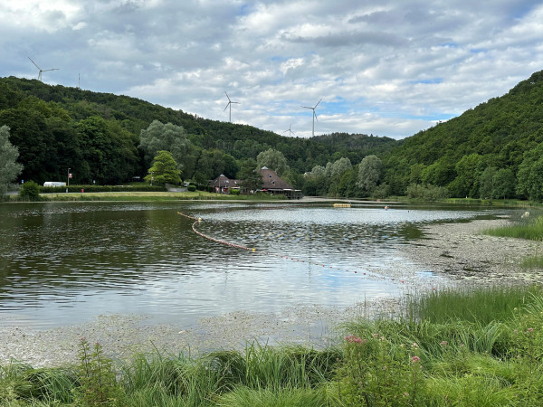 Der Riedener Waldsee belegte den zweiten Platz beim Voting "Dein Lieblingssee" in Rheinland-Pfalz.