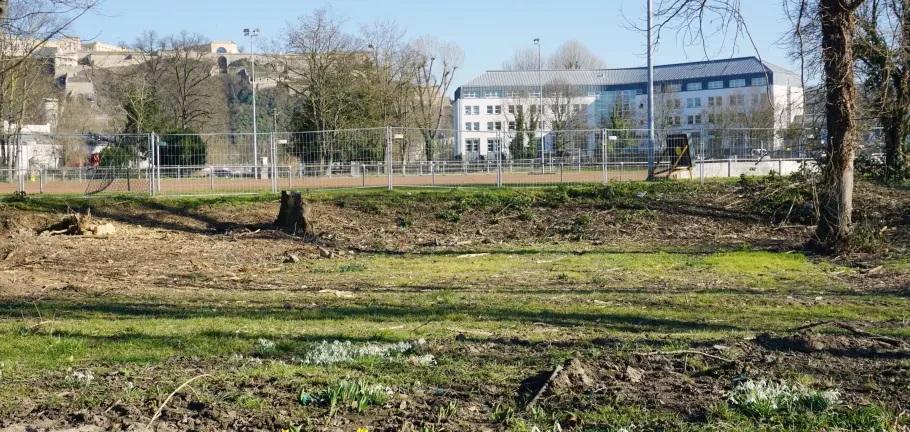 Die Aufräumarbeiten für den ersten Bauabschnitt des künftigen Sport- und Motorikparks am Schartwiesenweg sind abgeschlossen. Baubeginn unter anderem für ein neues Fußballfeld soll noch in die Die Aufräumarbeiten für den ersten Bauabschnitt des künftigen Sport- und Motorikparks am Schartwiesenweg sind abgeschlossen. Baubeginn unter anderem für ein neues Fußballfeld soll noch in die