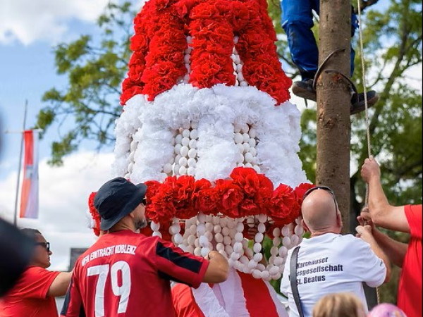 Die Eierkrone wird auf den Kirmesbaum aufgehangen.