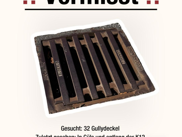 Die Stadt Koblenz sucht 32 Gullydeckel.