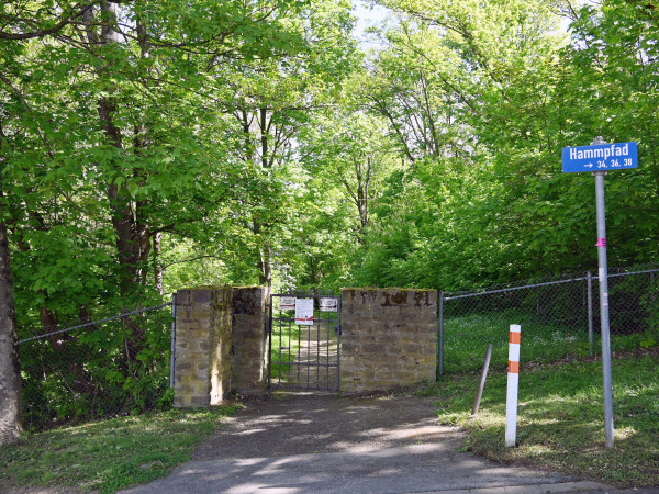 Die Wildschweine auf dem Koblenzer Hauptfriedhof gelangen vermutlich über nicht verschlossene Tore auf das Gelände.