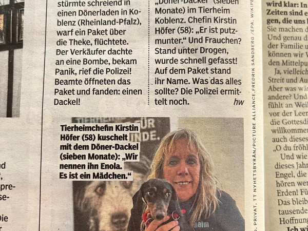 Die Zwergdackel-Dame Wilma, sorgte vor drei Jahren als „Döner-Dackel“ deutschlandweit für Schlagzeilen.