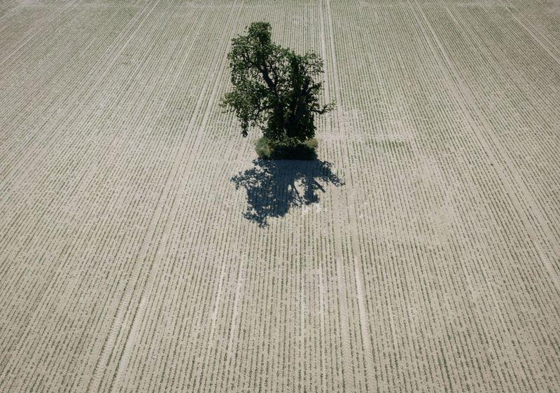 Niederschläge sind in Rheinland-Pfalz auch in den nächsten Tagen nicht in Sicht. (Symbolbild) Niederschläge sind in Rheinland-Pfalz auch in den nächsten Tagen nicht in Sicht. (Symbolbild)