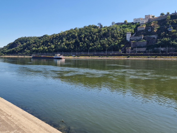 Niedrigwasser am Rhein in Koblenz (28. Juli 2026).